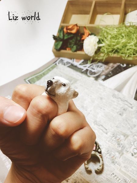 【分享小物】　2017年 Liz最愛的小飾品、動物戒指、扭蛋戒指、扭蛋戒指