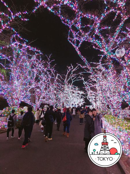 【日本】讀賣樂園+景點好去處，讀賣樂園燈光氣氛超適合跨年或是聖誕節慶去的唷！