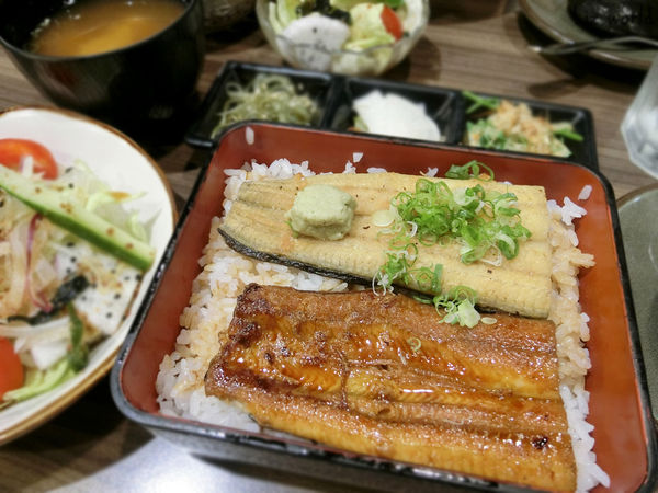 【台中西屯區美食】浪漫鰻屋，鰻魚日本料理就吃這家吧！精緻餐點高ＣＰ值