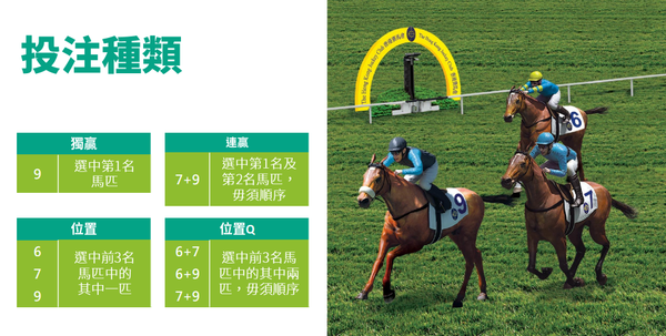 【香港旅遊】香港賽馬_沙田賽馬場從交通一直到如何玩賽馬通通給你簡易教學！