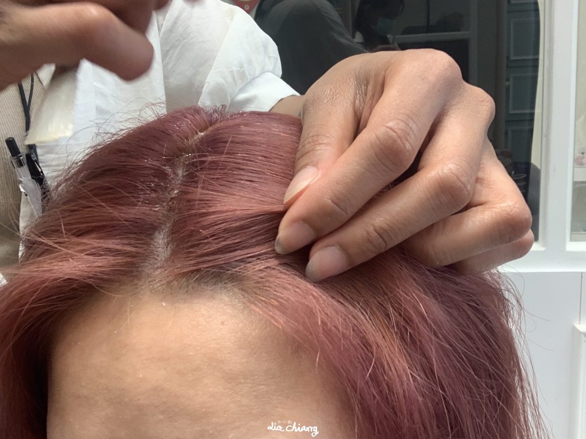 漂染粉色系頭髮全紀錄、頭皮精油理療整理療程_斯朵利專業髮型