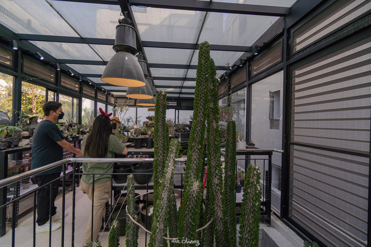 台中南屯區 酉 Succulent & Artwork，台中咖啡廳、下午茶，放鬆賞景的好地方。