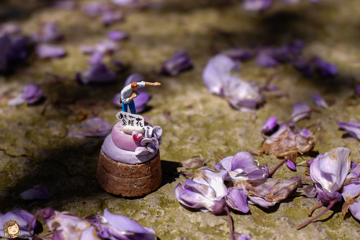 2024嘉義瑞里紫藤花季，6大花景一次介紹，暢遊嘉義瑞里二日遊景點推薦。