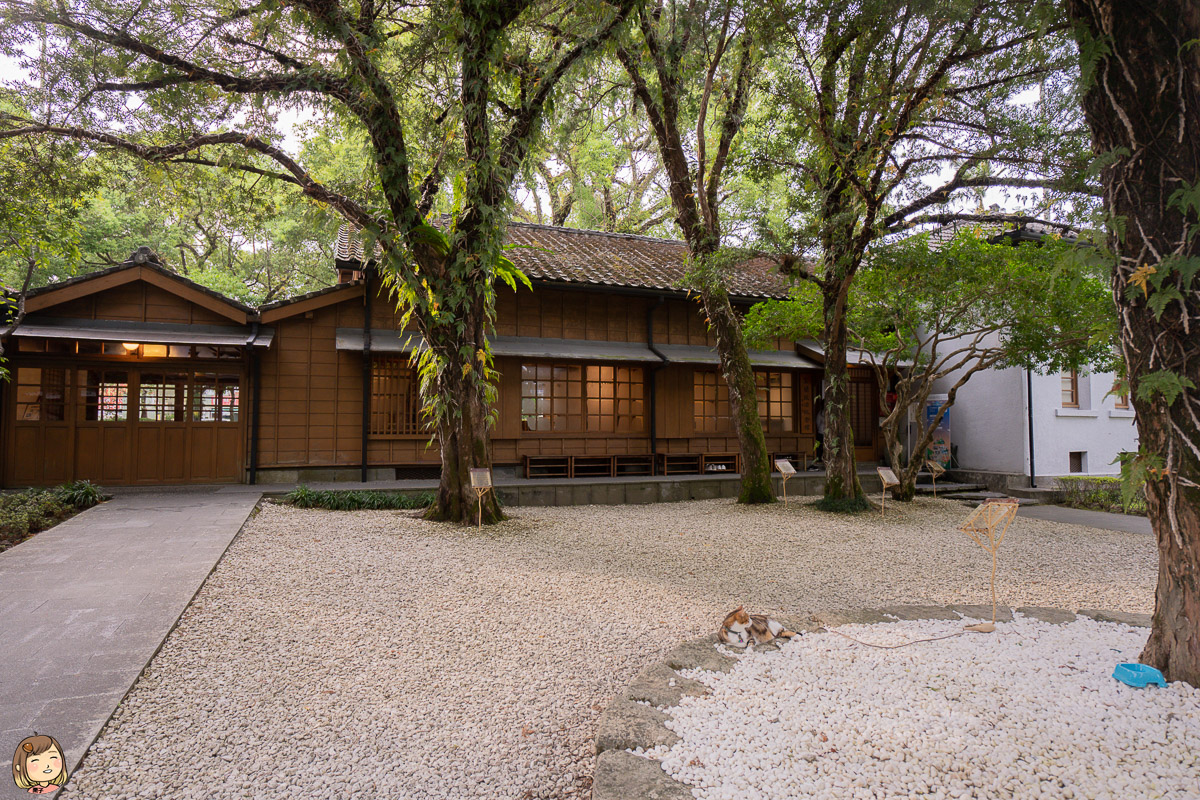 寵物友善飯店｜宜蘭東旅-宜蘭新月廣場住宿，還有住宿按摩，宜蘭景點、美食分享