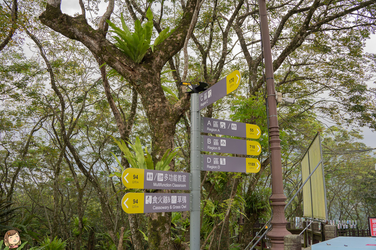 南投住宿-溪頭金台灣山莊民宿，舒適避暑好去處2日遊行程安排推薦。