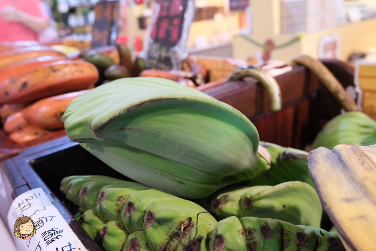 南投集集必訪！jijibanana集元果觀光工廠，探索香蕉王國的秘密，南投集集香蕉專家