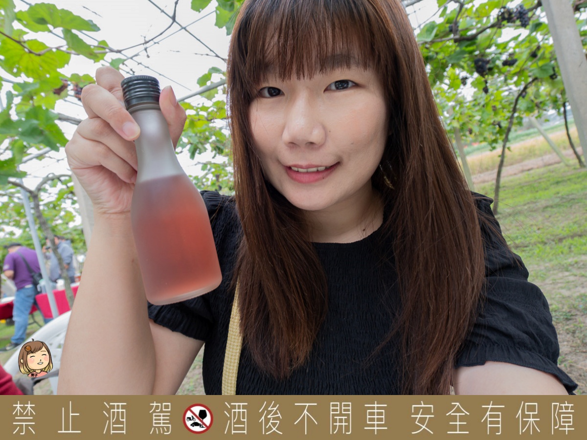 台中外埔｜酒堡庄易經調酒派對，午後chill時光葡萄園野餐派對