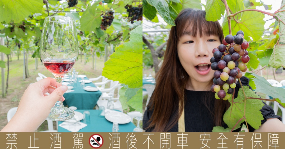 台中外埔｜酒堡庄易經調酒派對，午後chill時光葡萄園野餐派對