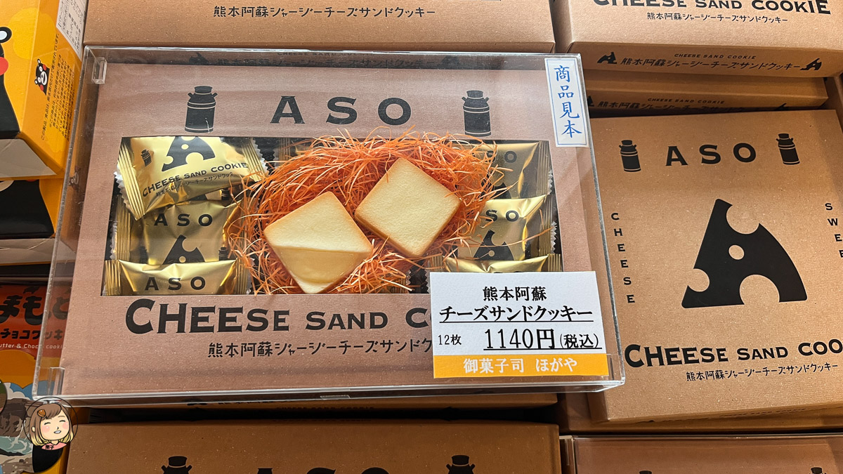 麗星郵輪探索星號熊本上岸行程|草千里&阿蘇火山博物館一日遊體驗分享 麗星郵輪探索星號熊本上岸行程|草千里&阿蘇火山博物館一日遊體驗分享