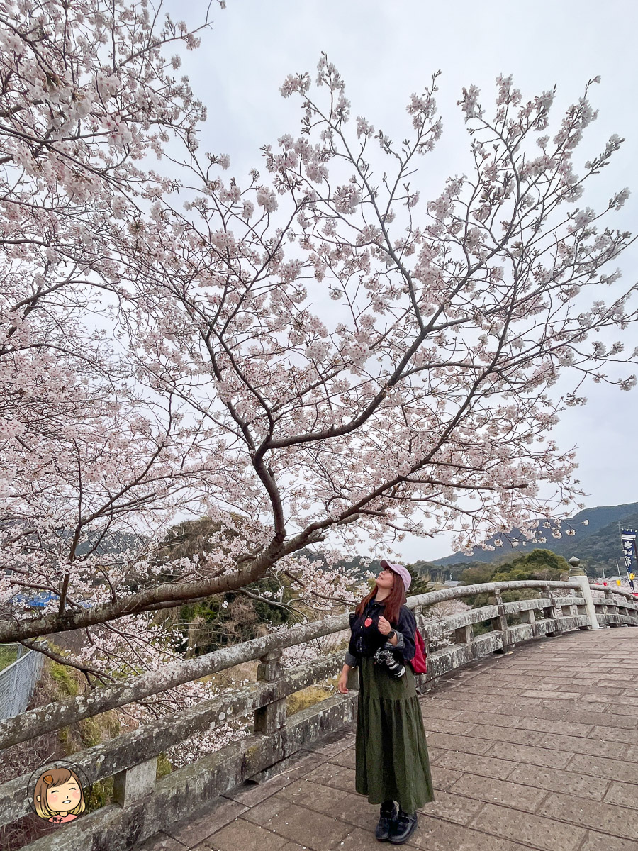 【長崎賞櫻行程推薦】麗星郵輪探索星號|橘公園櫻花、市集、美食遊全攻略 【長崎賞櫻行程推薦】麗星郵輪探索星號|橘公園櫻花、市集、美食遊全攻略