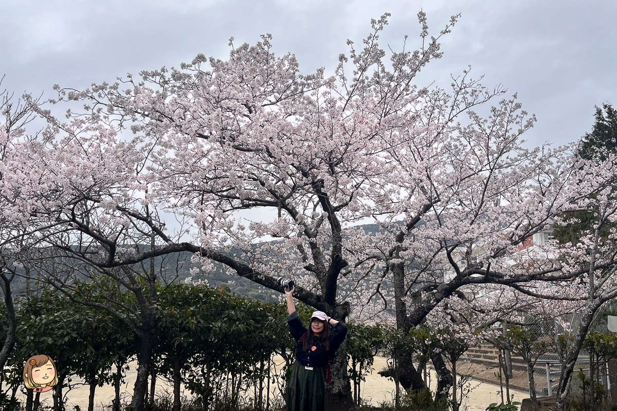 【長崎賞櫻行程推薦】麗星郵輪探索星號|橘公園櫻花、市集、美食遊全攻略 【長崎賞櫻行程推薦】麗星郵輪探索星號|橘公園櫻花、市集、美食遊全攻略