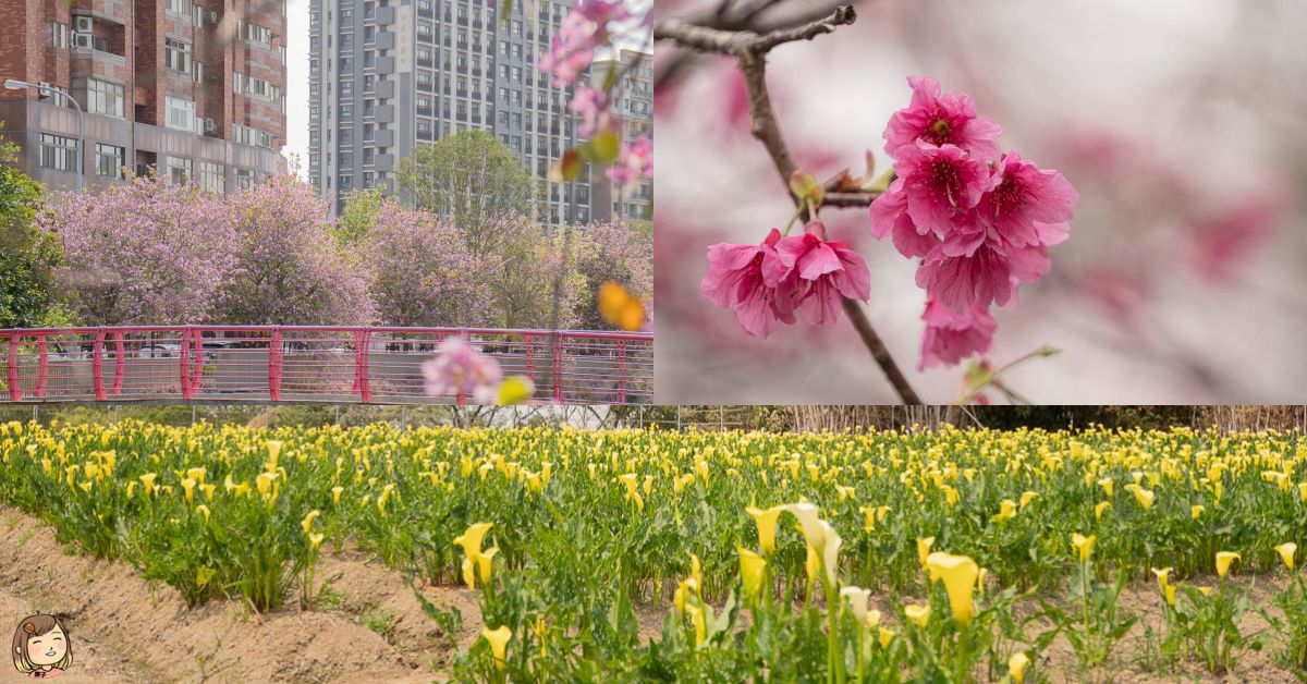一年四季的花海之旅｜跟著花朵的腳步，探索台灣之美