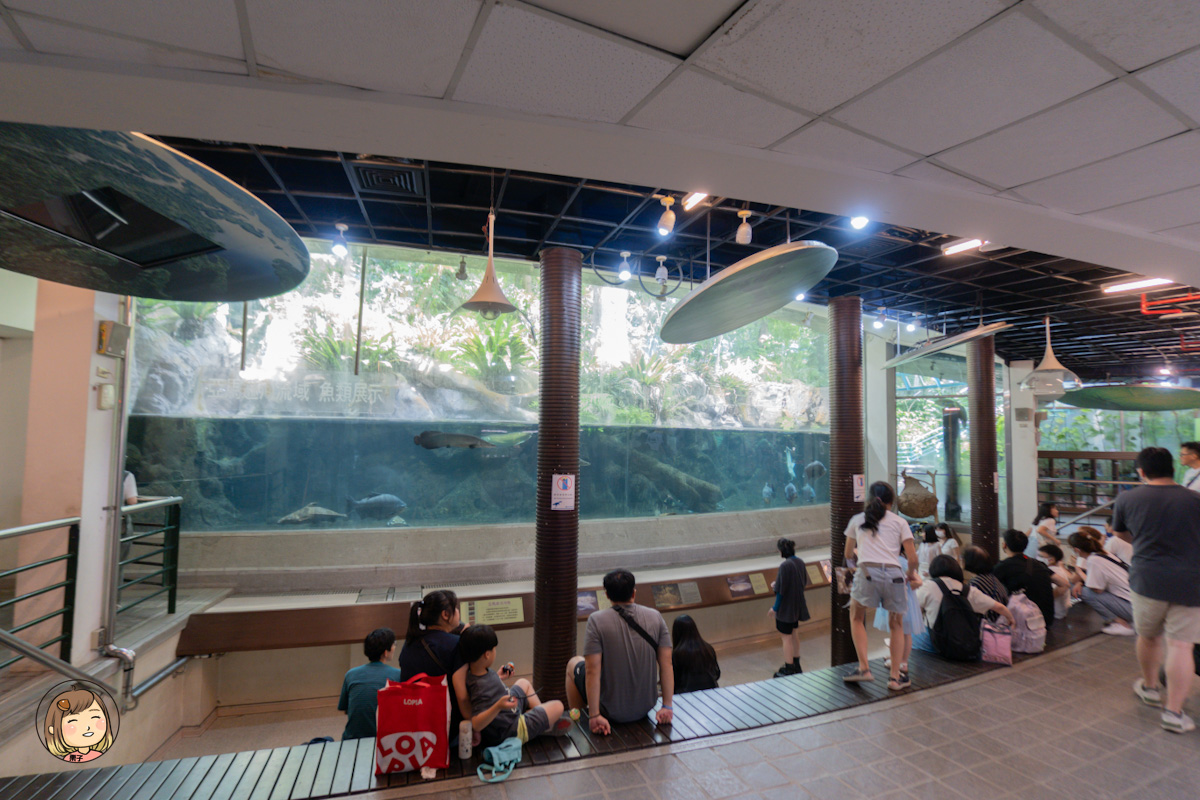 台中親子景點推薦,台中科學博物館植物園,20元門票暢遊綠意世界與魚類餵食秀 台中親子景點推薦,台中科學博物館植物園,20元門票暢遊綠意世界與魚類餵食秀