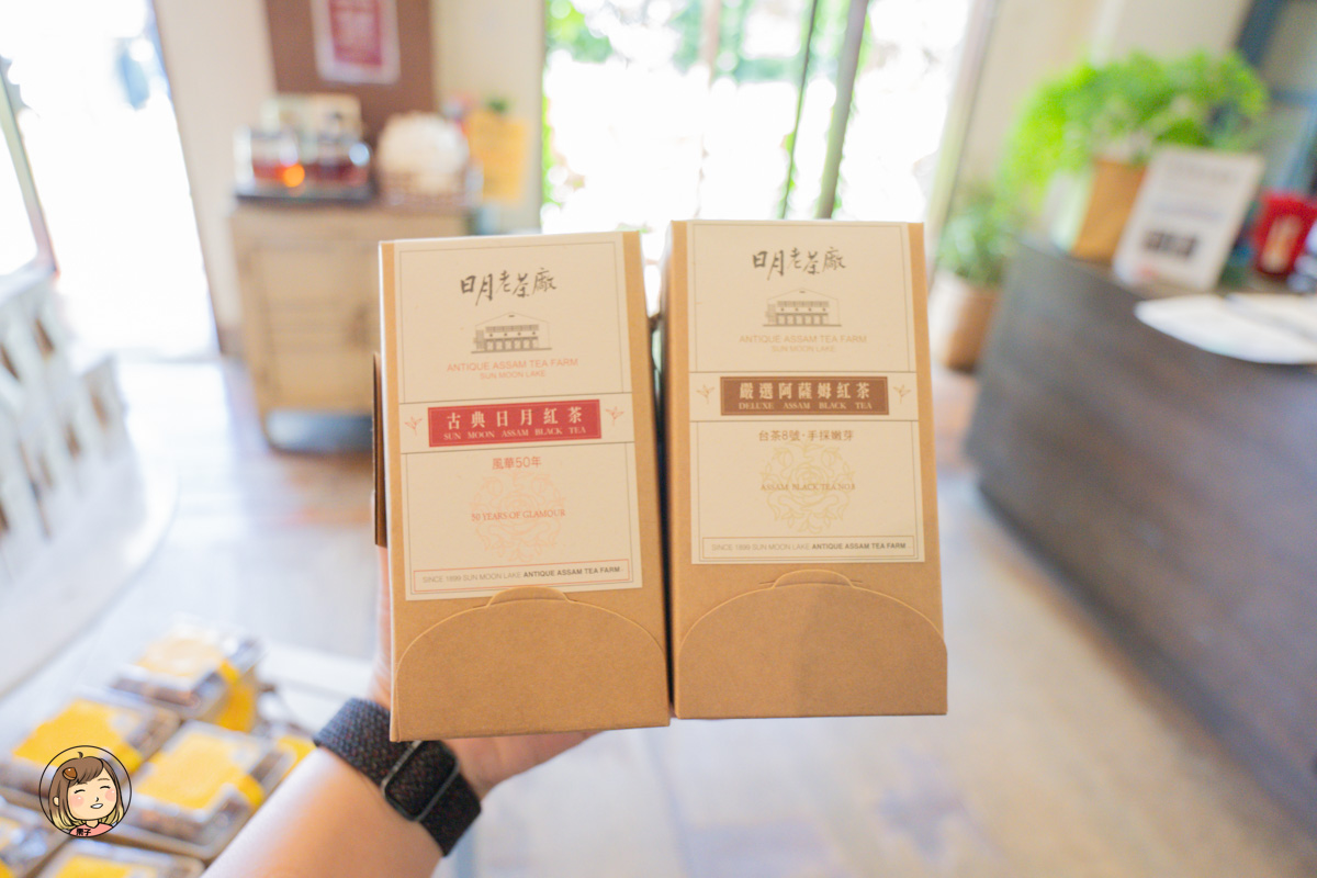 日月老茶廠｜南投必訪觀光工廠，免費參觀品茶、感受百年紅茶香氣