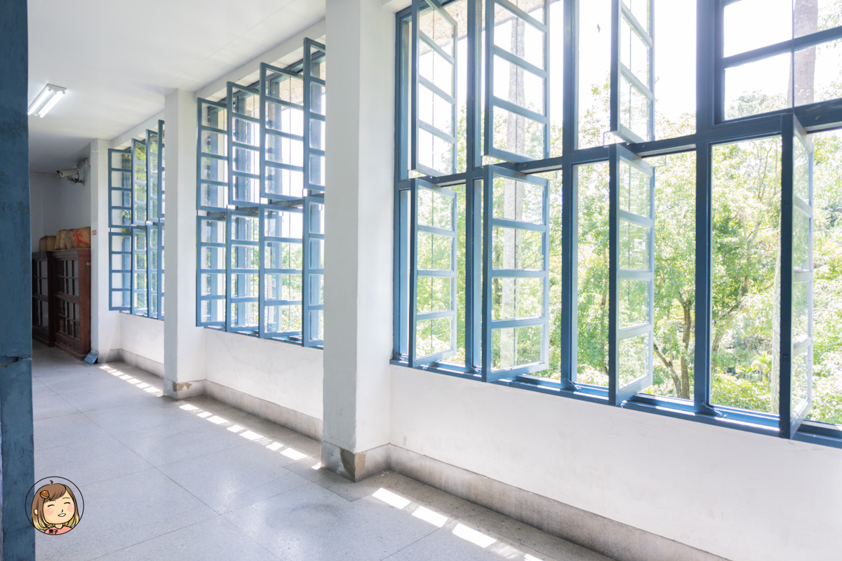 日月老茶廠｜南投必訪觀光工廠，免費參觀品茶、感受百年紅茶香氣