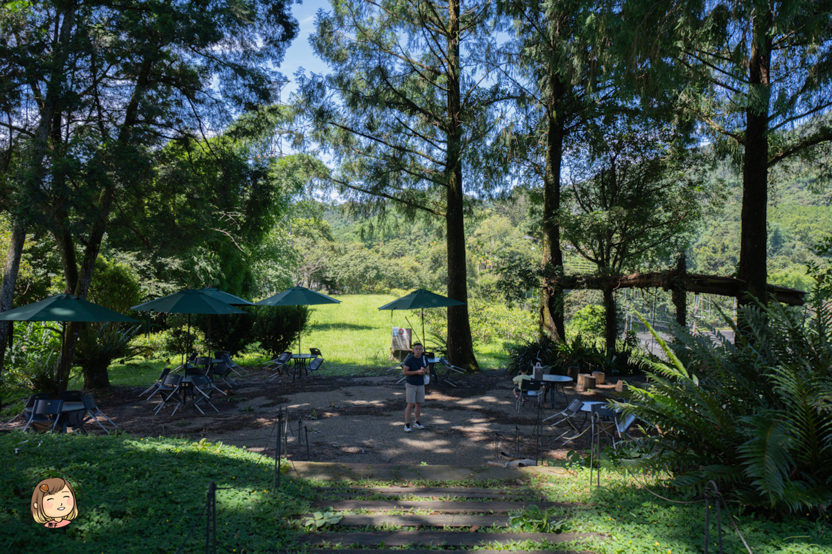 日月老茶廠｜南投必訪觀光工廠，免費參觀品茶、感受百年紅茶香氣
