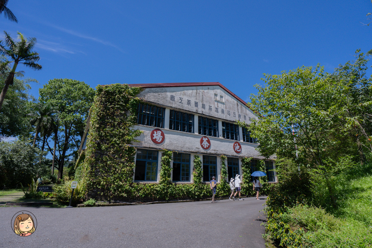 日月老茶廠｜南投必訪觀光工廠，免費參觀品茶、感受百年紅茶香氣
