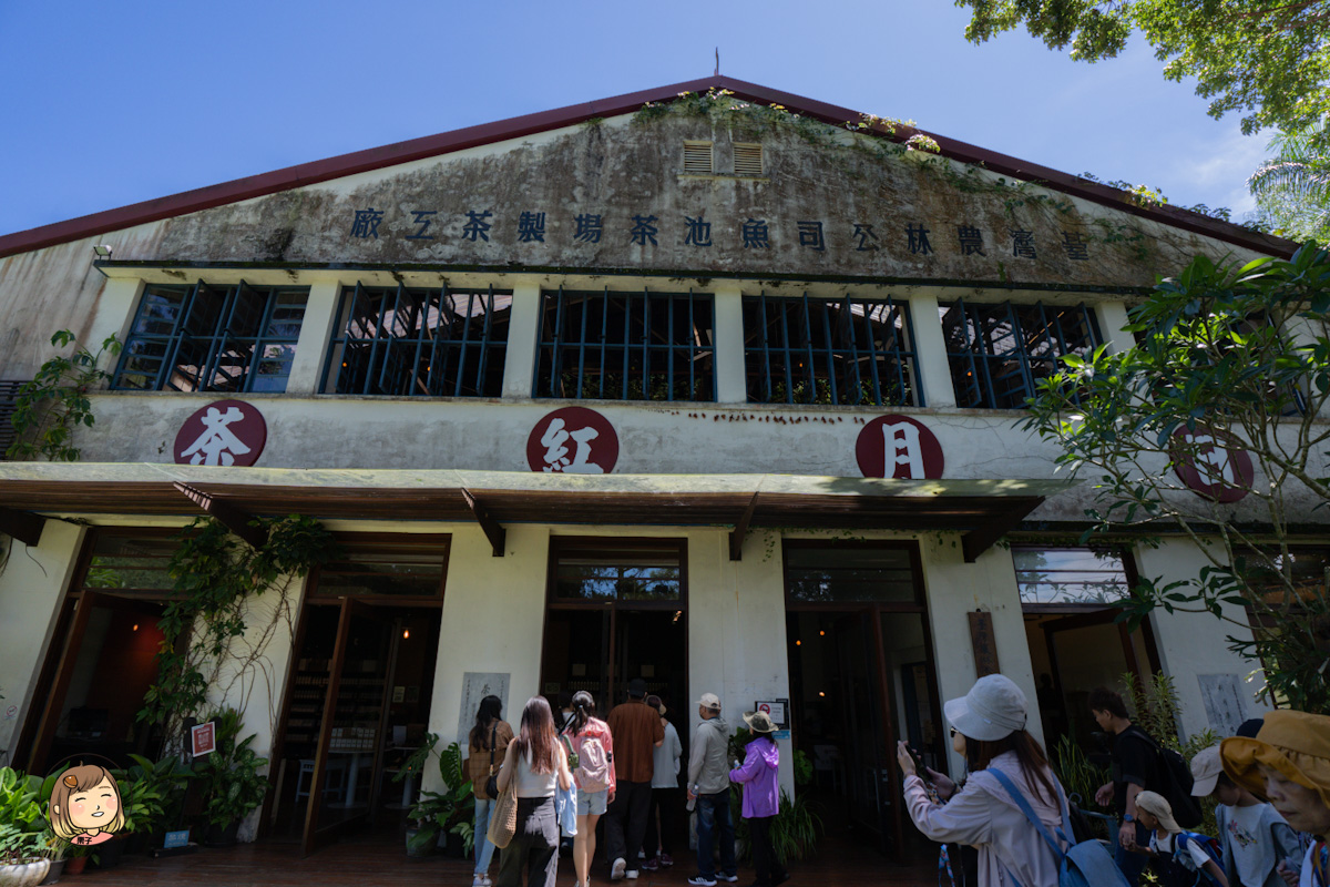 日月老茶廠｜南投必訪觀光工廠，免費參觀品茶、感受百年紅茶香氣