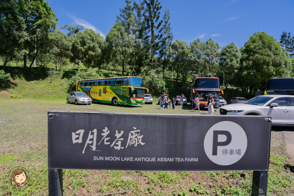 日月老茶廠｜南投必訪觀光工廠，免費參觀品茶、感受百年紅茶香氣