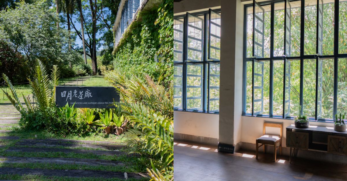 日月老茶廠｜南投必訪觀光工廠，免費參觀品茶、感受百年紅茶香氣