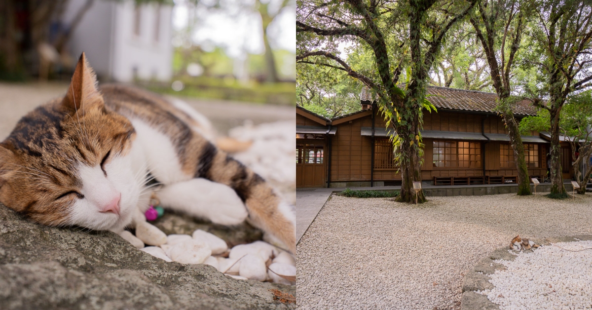 宜蘭文學館｜喝茶、逛老宅、與貓咪共度悠閒午後