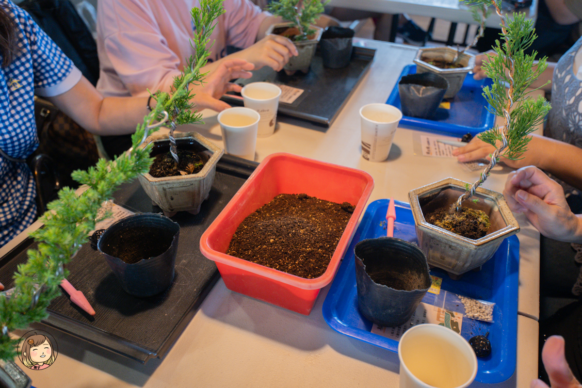 南投親子行程推薦｜小力歐親子館：真柏小品 DIY 盆栽 × 手沖咖啡 × 室內草地放電