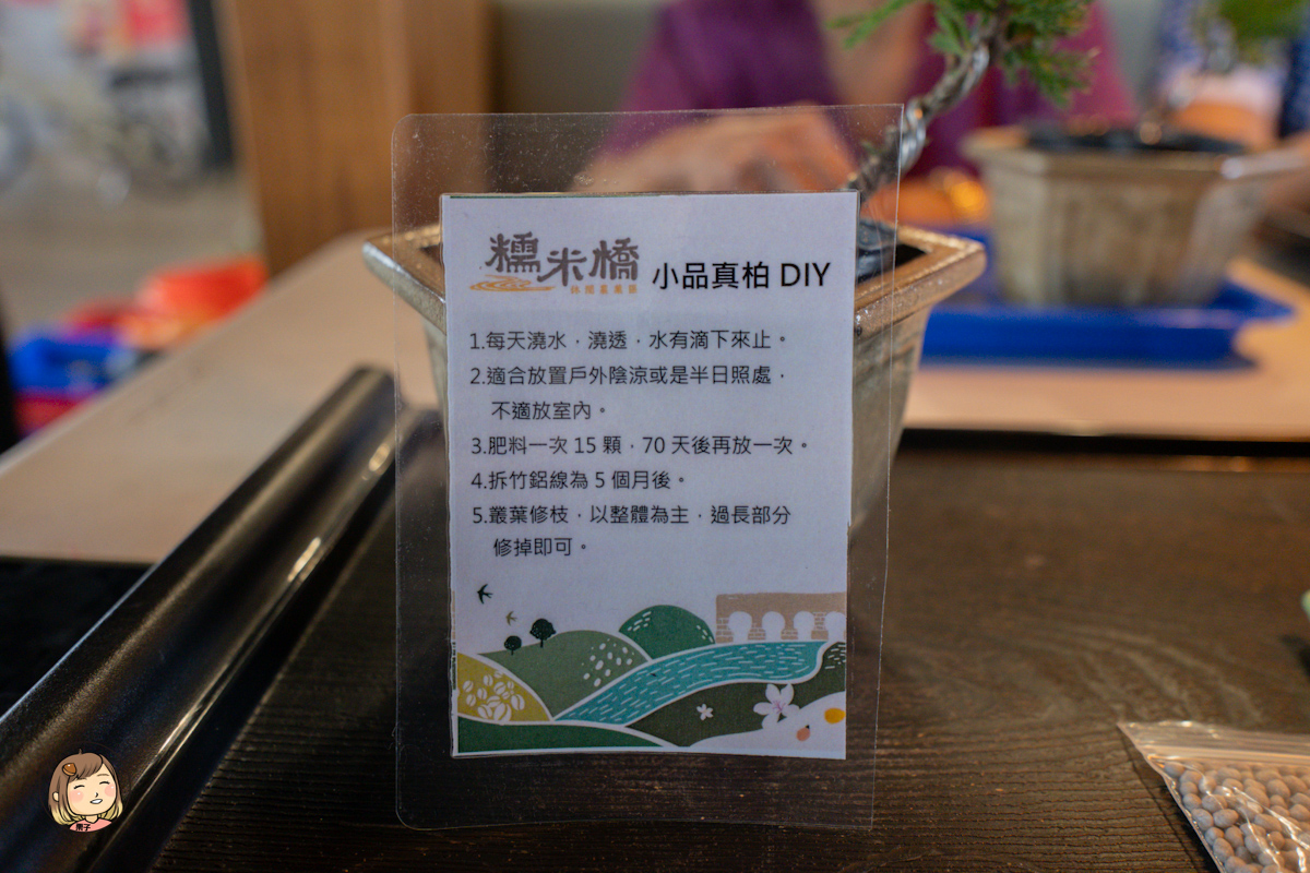南投親子行程推薦｜小力歐親子館：真柏小品 DIY 盆栽 × 手沖咖啡 × 室內草地放電