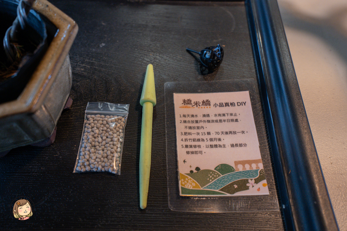 南投親子行程推薦｜小力歐親子館：真柏小品 DIY 盆栽 × 手沖咖啡 × 室內草地放電