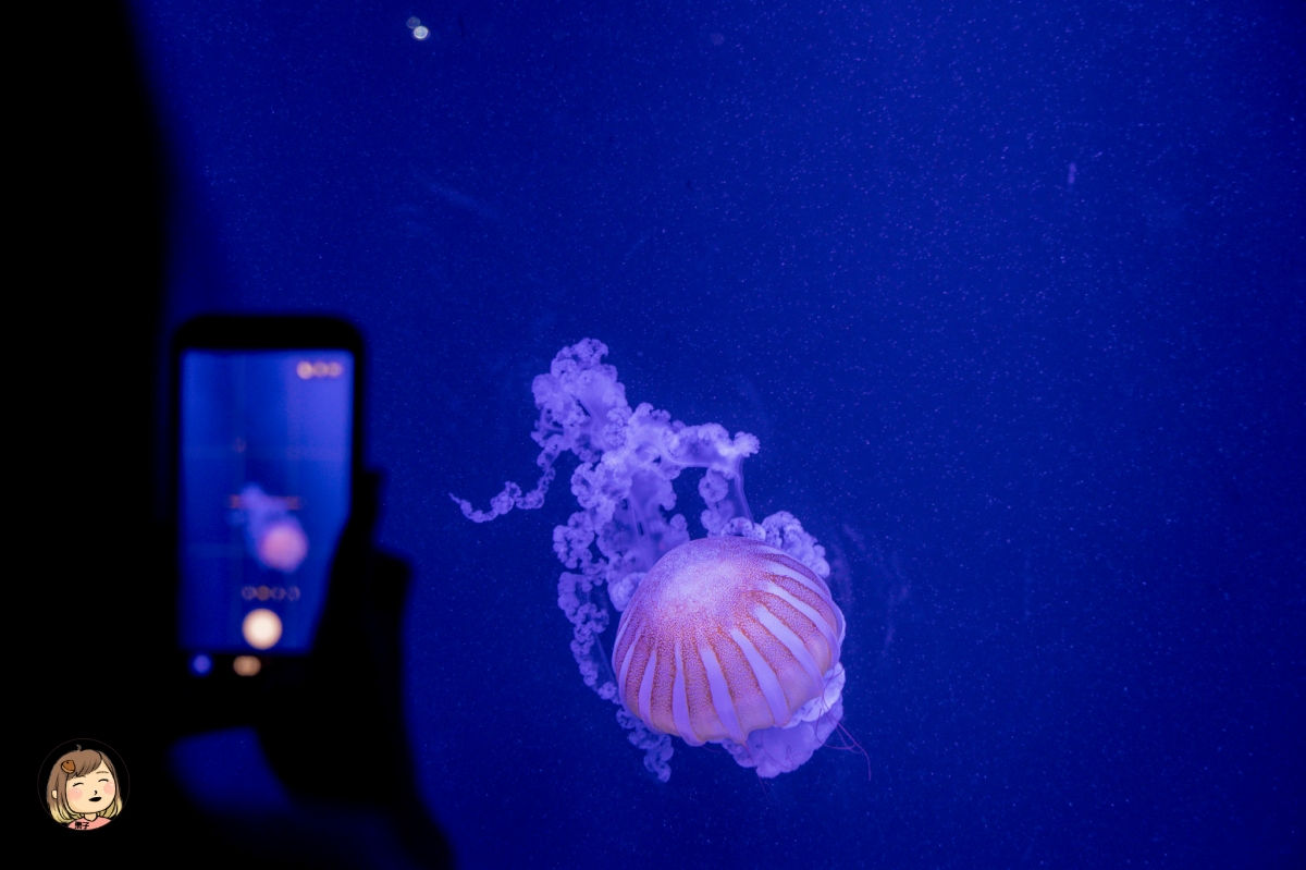 台中海線一日遊｜海洋館、農村體驗、在地美食，親子同樂行程推薦