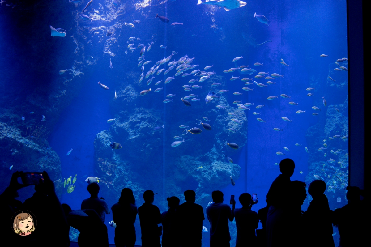 台中海線一日遊｜海洋館、農村體驗、在地美食，親子同樂行程推薦