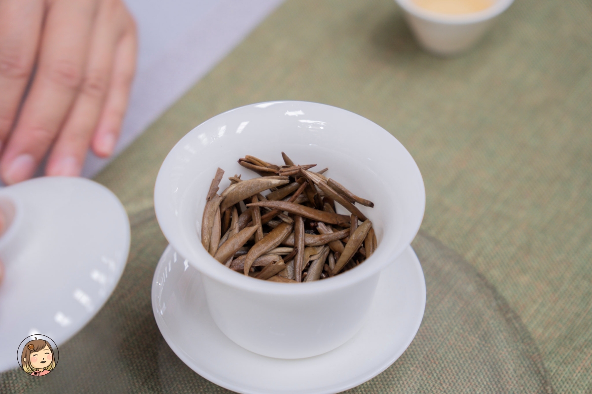 台中海線一日遊｜海洋館、農村體驗、在地美食，親子同樂行程推薦