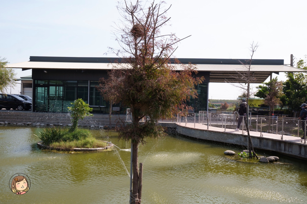 【雲林景點推薦】口湖必去！蝦の故鄉・興義軒休閒園區｜釣蝦、親子生態、海鮮料理、車宿、代工一次滿足
