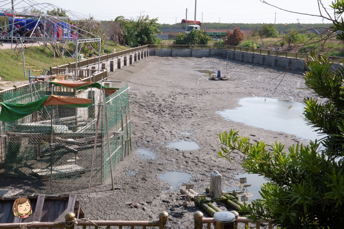 【雲林景點推薦】口湖必去！蝦の故鄉・興義軒休閒園區｜釣蝦、親子生態、海鮮料理、車宿、代工一次滿足