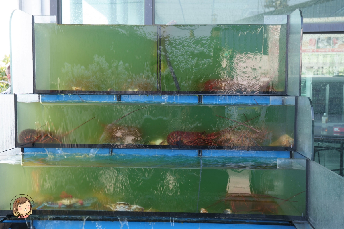 【雲林景點推薦】口湖必去！蝦の故鄉・興義軒休閒園區｜釣蝦、親子生態、海鮮料理、車宿、代工一次滿足