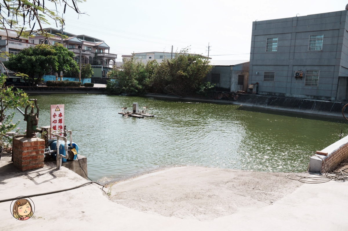 雲林口湖|第一鰻波工坊台灣第一座鰻魚養殖場!鰻魚飯、食魚教育、產地文化一次體驗 雲林口湖|第一鰻波工坊台灣第一座鰻魚養殖場!鰻魚飯、食魚教育、產地文化一次體驗