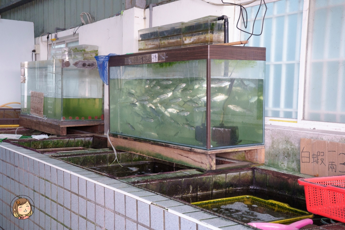 雲林金湖蚵貝藝術村|從海產蛋白區到藝術與環保的美麗結合(雲林景點/口湖一日輕旅行) 雲林金湖蚵貝藝術村|從海產蛋白區到藝術與環保的美麗結合(雲林景點/口湖一日輕旅行)