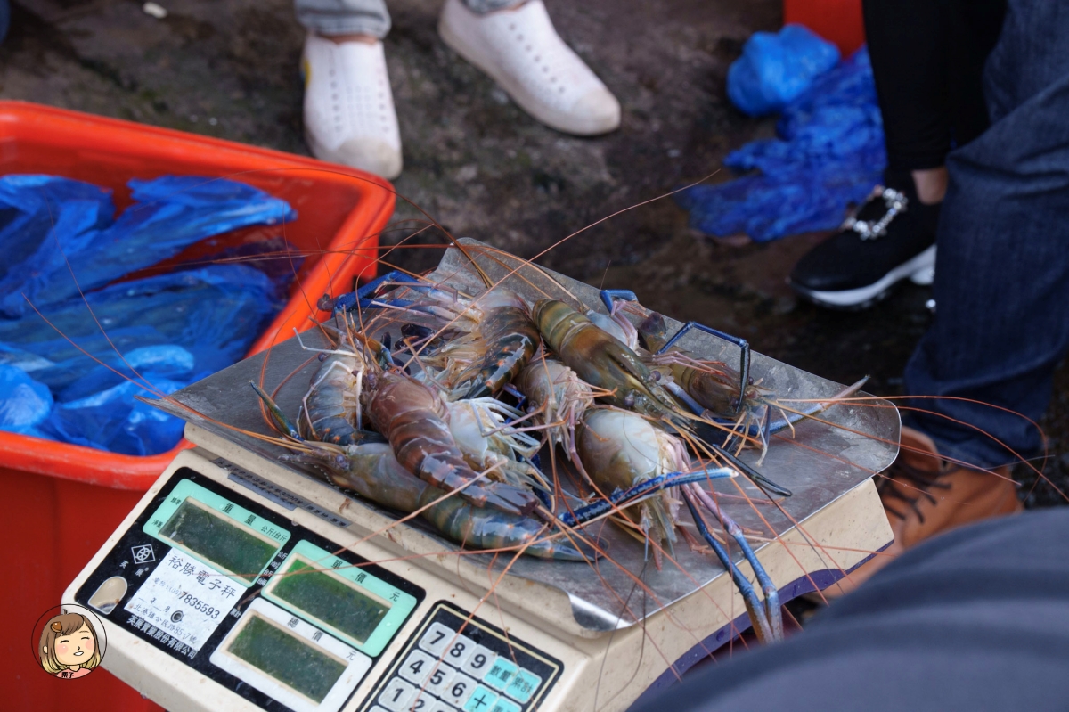 雲林金湖蚵貝藝術村|從海產蛋白區到藝術與環保的美麗結合(雲林景點/口湖一日輕旅行) 雲林金湖蚵貝藝術村|從海產蛋白區到藝術與環保的美麗結合(雲林景點/口湖一日輕旅行)