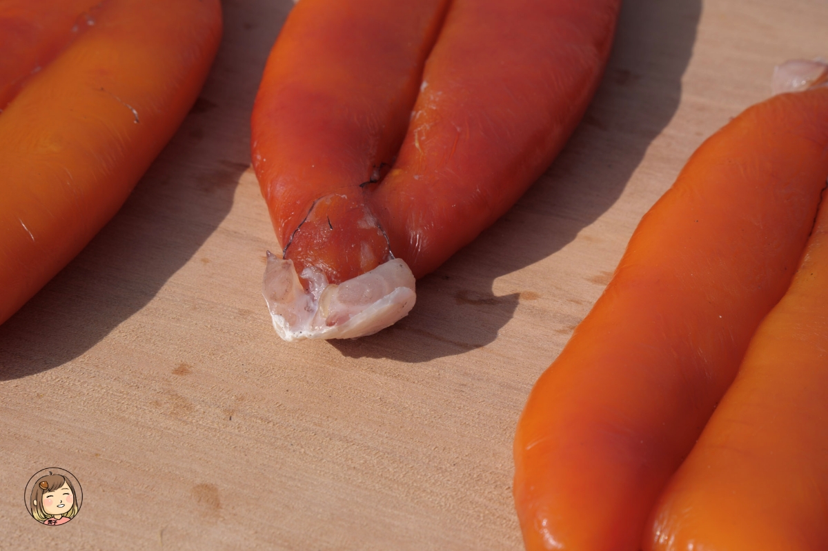 雲林金湖蚵貝藝術村|從海產蛋白區到藝術與環保的美麗結合(雲林景點/口湖一日輕旅行) 雲林金湖蚵貝藝術村|從海產蛋白區到藝術與環保的美麗結合(雲林景點/口湖一日輕旅行)