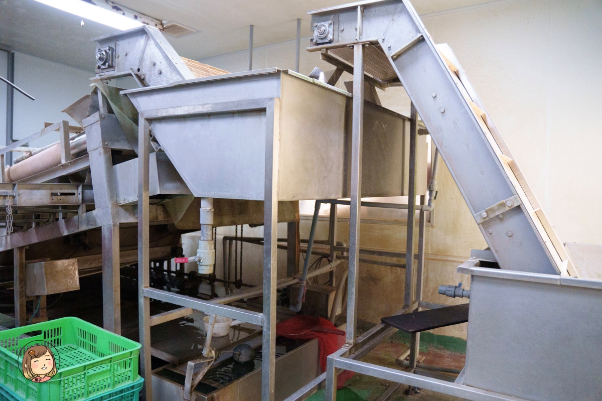 【雲林景點推薦】口湖必去！蝦の故鄉・興義軒休閒園區｜釣蝦、親子生態、海鮮料理、車宿、代工一次滿足