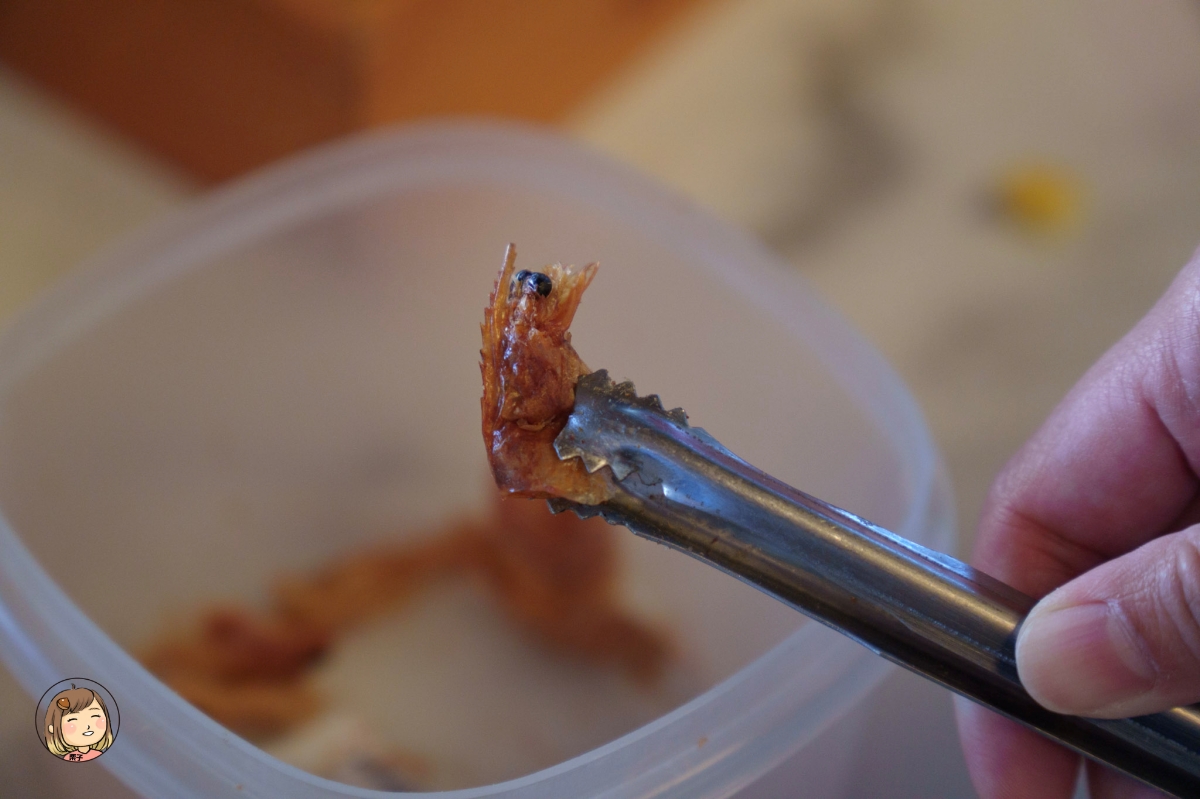 【雲林景點推薦】口湖必去！蝦の故鄉・興義軒休閒園區｜釣蝦、親子生態、海鮮料理、車宿、代工一次滿足