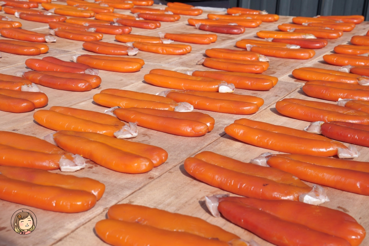 雲林金湖蚵貝藝術村|從海產蛋白區到藝術與環保的美麗結合(雲林景點/口湖一日輕旅行) 雲林金湖蚵貝藝術村|從海產蛋白區到藝術與環保的美麗結合(雲林景點/口湖一日輕旅行)